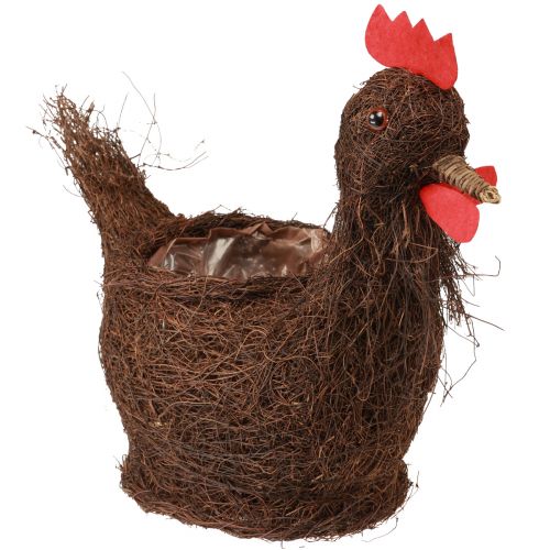 Floristik24 Decorazione pasquale cesto per piante pollo decorativo da piantare 36 cm