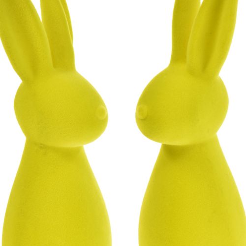 Prodotto Coniglietti pasquali floccati giallo-verde – 2a scelta – 8×10×29cm 2 pezzi