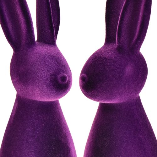 Floristik24 Coniglietto pasquale figure decorative floccate Pasqua – 2a scelta – viola 8x10x29cm 2 pezzi