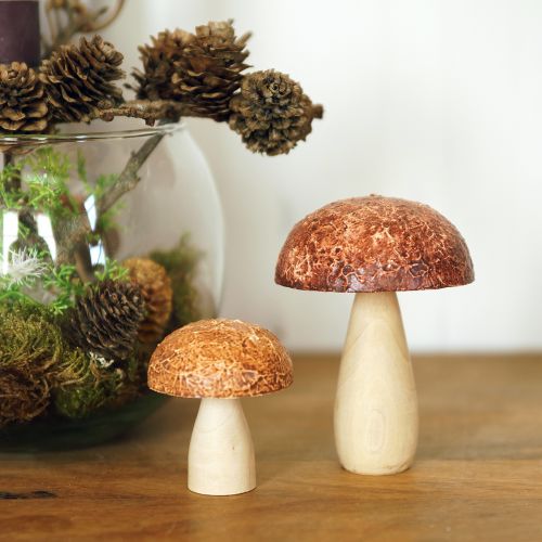Prodotto Funghi in legno funghi decorativi decorazione da tavolo autunno marrone naturale 5×6 cm 8 pz