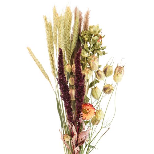 Bouquet di fiori secchi fiori di paglia arancio viola 55cm 70g