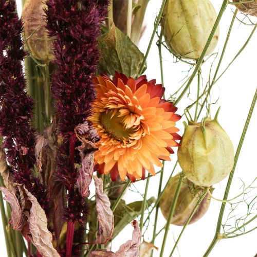 Floristik24 Bouquet di fiori secchi fiori di paglia arancio viola 55cm 70g