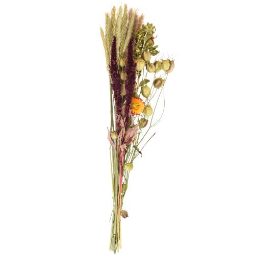 Floristik24 Bouquet di fiori secchi fiori di paglia arancio viola 55cm 70g