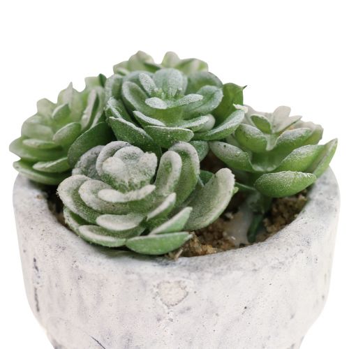 Prodotto Piante grasse artificiali in vaso piante artificiali verde Ø4cm 12pz