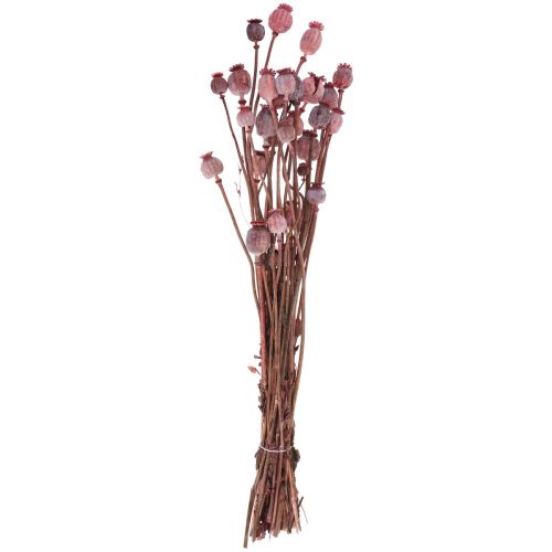 Floristik24 Fiori Secchi Caps Papaveri Secchi Deco Rosso 80g