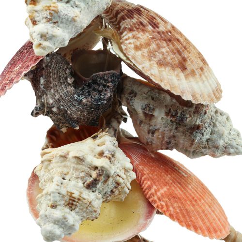 Floristik24 Decorazione marittima da appendere conchiglie e lumache di mare 82 cm