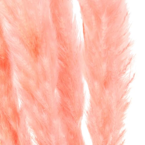 Prodotto Decorazione erba di pampa, erba di pampa essiccata rosa 72 cm 6 pz
