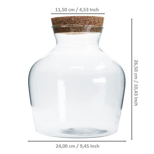 Floristik24 Vetro decorativo con tappo in sughero Vaso decorativo con coperchio H25cm Ø24cm