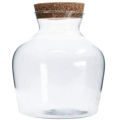 Floristik24 Vetro decorativo con tappo in sughero Vaso decorativo con coperchio H25cm Ø24cm
