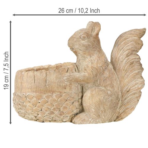 Prodotto Fioriera con decorazione in pietra fusa a forma di scoiattolo 26×14×19cm