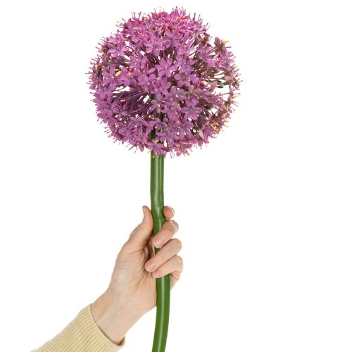 Prodotto Fiore artificiale di Allium, cipolla ornamentale, elegante decorazione per la stanza, 90 cm