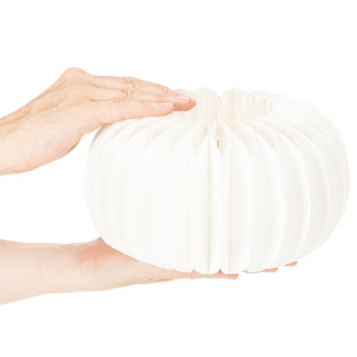 Anello di carta a nido d'ape a forma di zucca, rotondo, grande, per fiori secchi e decorazioni autunnali, 24 cm, 4 pezzi | Floristik24.it