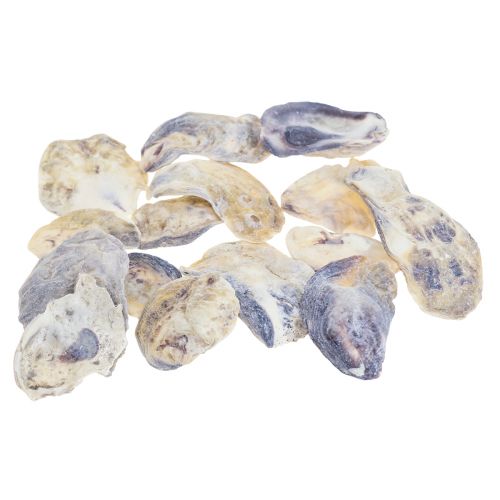 Floristik24 Decorazione di conchiglie di conchiglie di ostriche decorazione naturale 2-6cm 250g