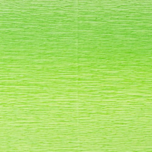 Prodotto Carta crespa per fioristi verde chiaro 50x250cm
