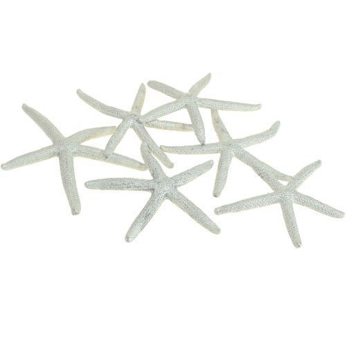 Floristik24 Decorazione marittima in argento stella marina Decorazione estiva stella marina 7,5 cm 10 pz