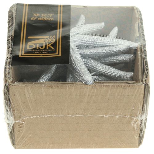 Floristik24 Decorazione marittima in argento stella marina Decorazione estiva stella marina 7,5 cm 10 pz