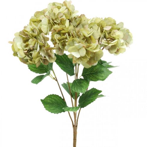 Mazzo di ortensie artificiale verde, marrone 5 fiori 48cm