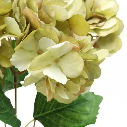 Floristik24 Mazzo di ortensie artificiale verde, marrone 5 fiori 48cm