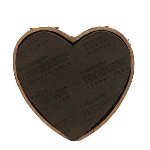 Spugna floreale a forma di cuore OASIS® Renewal® Spugna floreale Biolit® 26 cm 2 pezzi acquistare | Floristik24.it