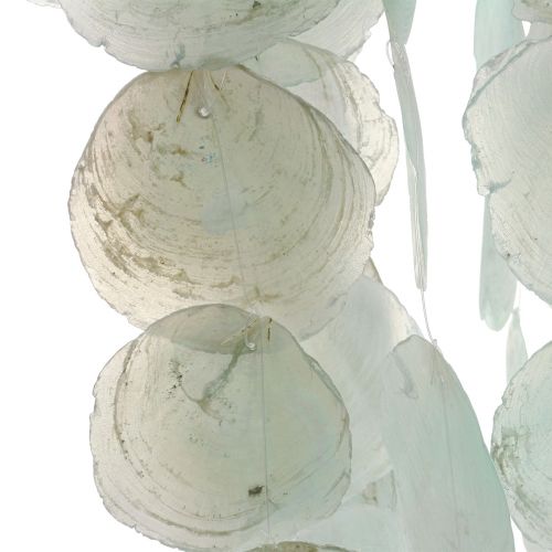 Floristik24 Capiz campanello a vento da appendere decorazione conchiglia verde Ø29cm 160cm