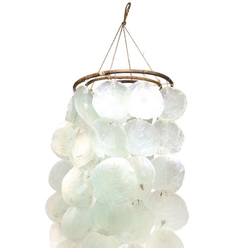 Floristik24 Capiz campanello a vento da appendere decorazione conchiglia verde Ø29cm 160cm
