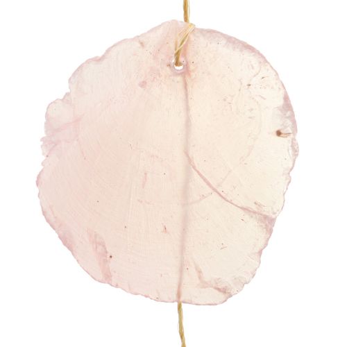 Floristik24 Ghirlanda di conchiglie Ghirlanda di conchiglie madreperla Capiz rosa L108 cm
