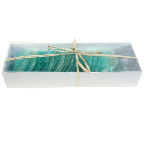 Floristik24 Conchiglie di capiz, dischi di capiz, dischi di madreperla turchese 6,5–9,5 cm 650 g