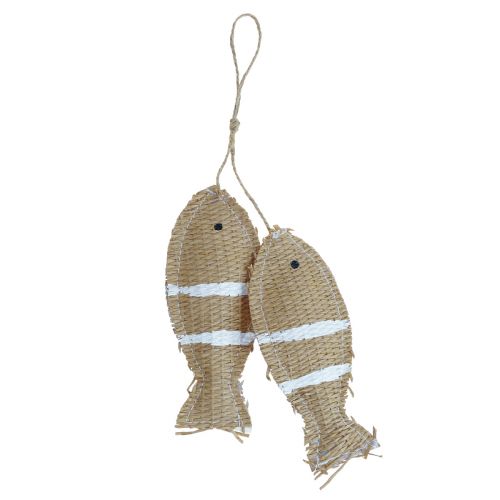 Floristik24 Decorazione da appendere pesce decorativo da appendere decorazione marina rigata 14,5×6 cm