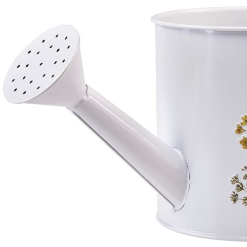 Prodotto Annaffiatoio in metallo per piantare vaso per piante bianco 13,5 cm