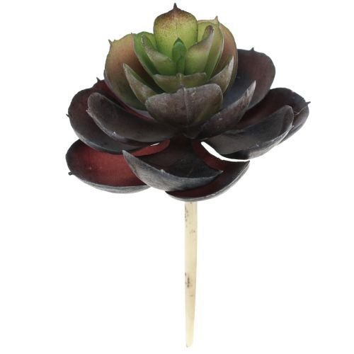 Piante verdi artificiali succulente Echeveria Ø7cm 12cm 6 pz