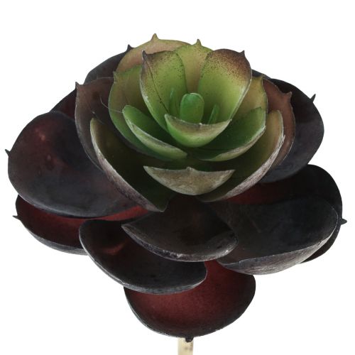 Prodotto Piante verdi artificiali succulente Echeveria Ø7cm 12cm 6 pz