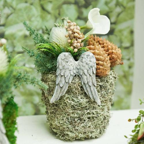Floristik24 Spina decorativa ali d'angelo 10 cm 3 pz