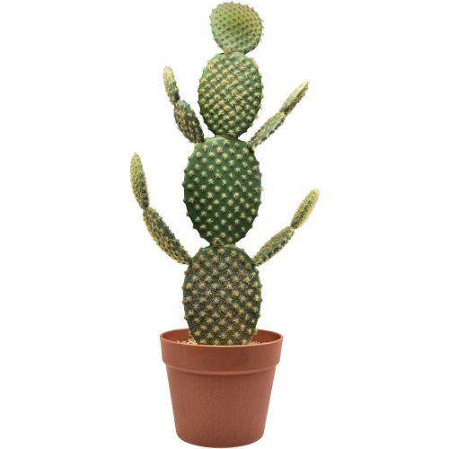 Pianta artificiale in vaso di cactus decorativo fico d&#39;india 64 cm