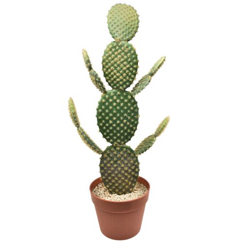 Floristik24 Pianta artificiale in vaso di cactus decorativo fico d&#39;india 64 cm