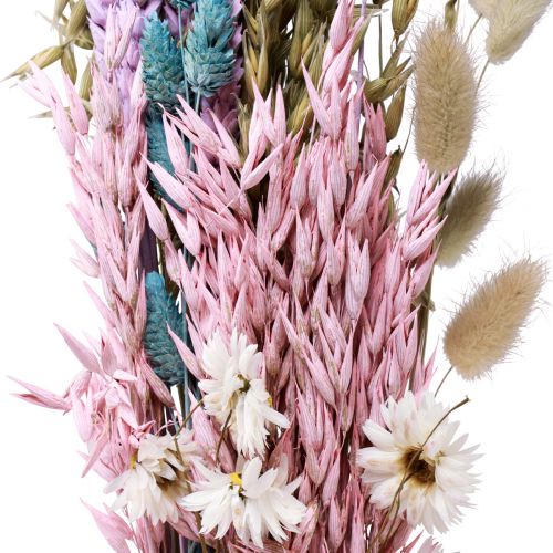 Floristik24 Mazzo di fiori secchi fiori di paglia Phalaris grano 58 cm