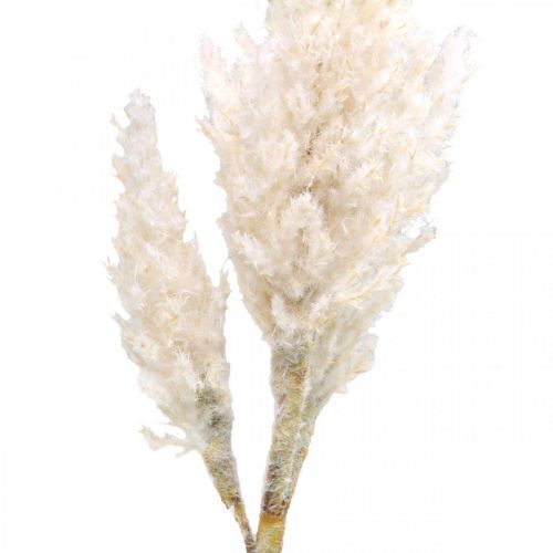 Erba di pampa bianca crema artificiale erba secca decorazione 82 cm