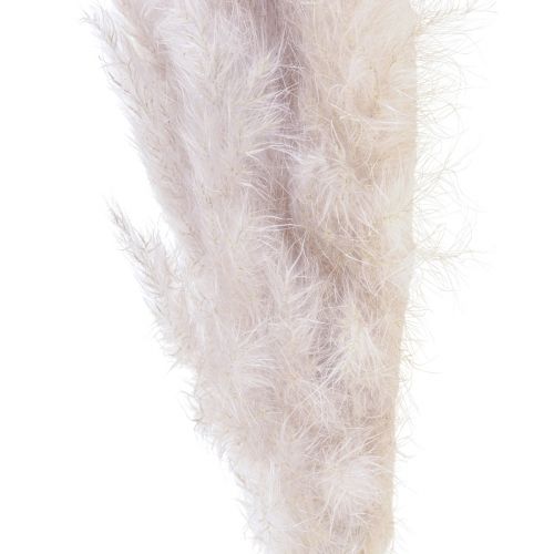 Floristik24 Decorazione di erba di pampa essiccata naturale floristica secca 100 cm