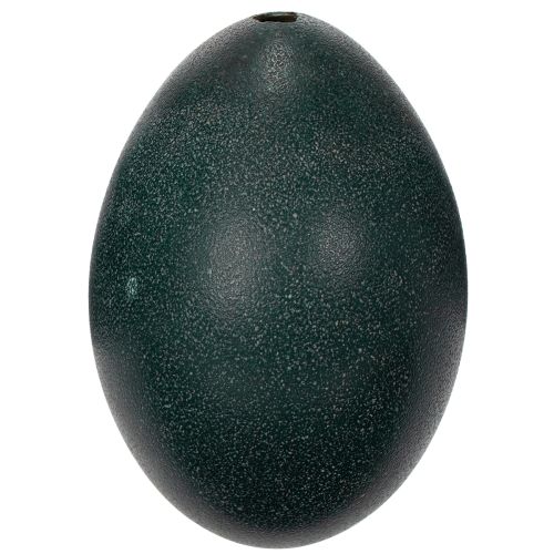 Prodotto Decorazioni Emuei per addobbi festivi per la casa e tocchi di stile per Pasqua