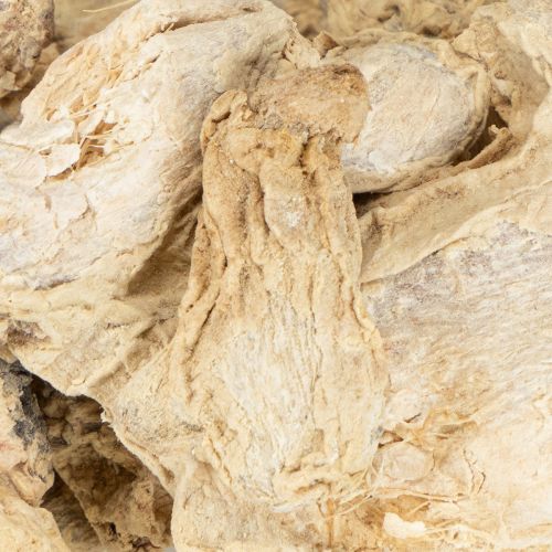 Prodotto Decorazione allo zenzero essiccato Decorazione naturale 500g