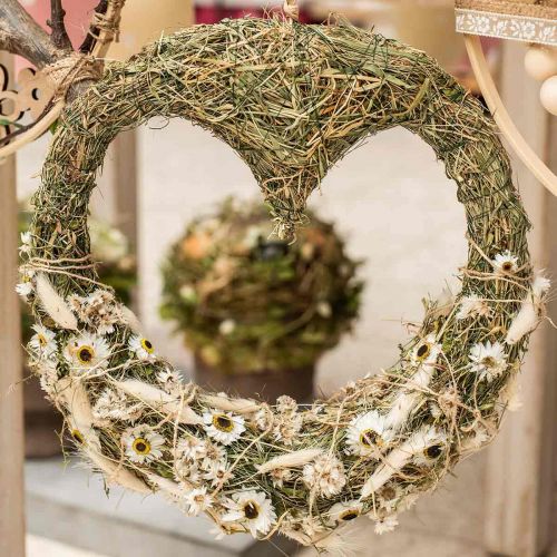 Floristik24 Acroclinium White, piante secche, fiori di paglia, floristica secca L20–40 cm 25 g