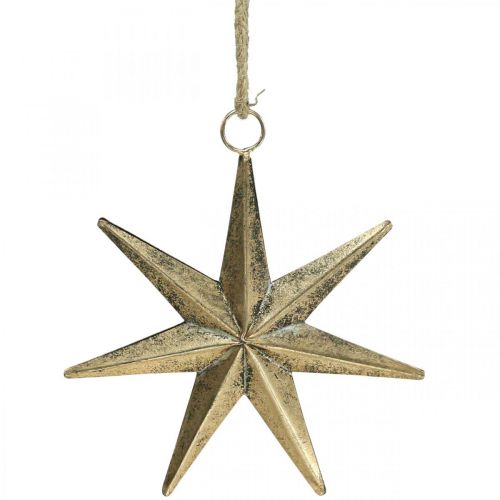 Floristik24 Ciondolo stella con decorazione natalizia aspetto antico dorato L19,5 cm