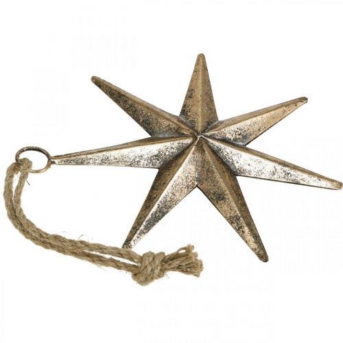 Floristik24 Ciondolo stella con decorazione natalizia aspetto antico dorato L19,5 cm