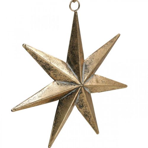 Floristik24 Decorazione natalizia ciondolo stella d'oro aspetto antico 30,5 cm
