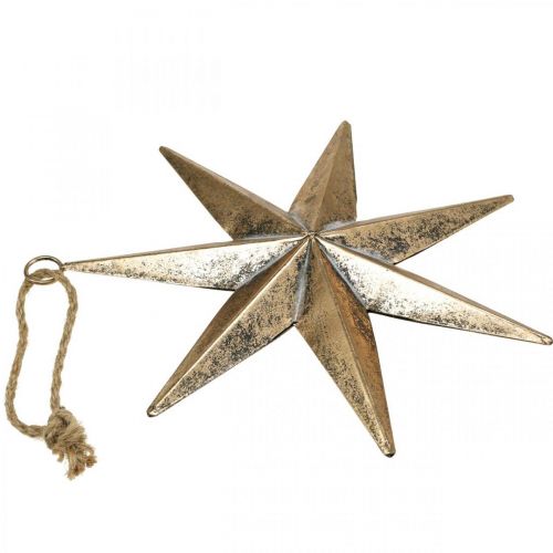 Floristik24 Decorazione natalizia ciondolo stella d'oro aspetto antico 30,5 cm