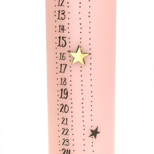 Floristik24 Calendario dell'avvento candela rosa pilastro candela avvento 250/50mm