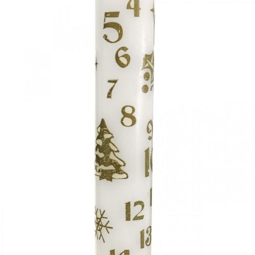 Floristik24 Calendario dell'avvento candela candele bianche Natale H25cm 2pz