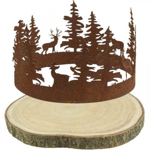 Floristik24 Deer Deco Forest Patina Deco Corteccia d&#39;albero naturale Ø25-27cm