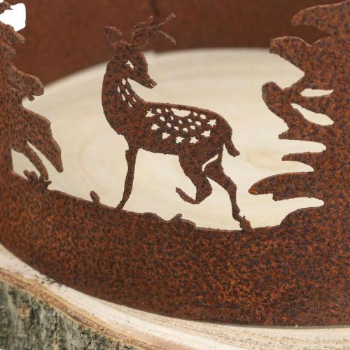 Floristik24 Deer Deco Forest Patina Deco Corteccia d&#39;albero naturale Ø25-27cm