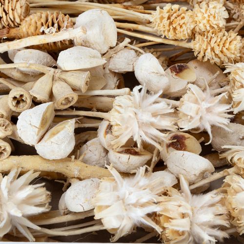 Prodotto Assortimento Africa, sbiancato, 60 pezzi