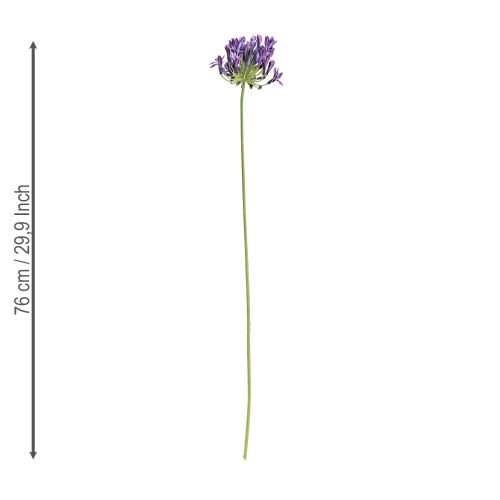 Prodotto Fiori artificiali di agapanto, gigli viola decorativi, 75 cm, 2 pezzi